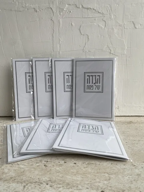 מבצע הגדה דגם 01