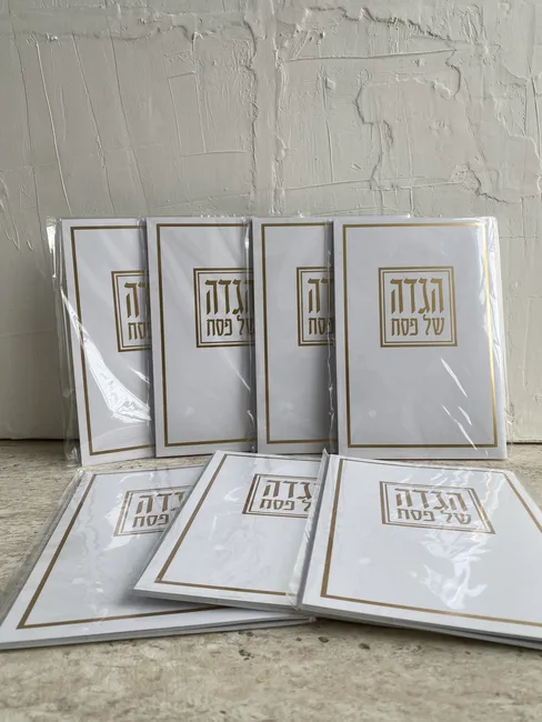 מבצע הגדה דגם 02